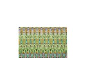 ST06000050 INDIVIDUAL ESTAMPADO 40*50 CM